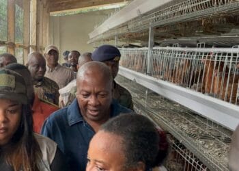 President Mahama pledges support to develop Papao Poultry Farm into Centre of Excellence
