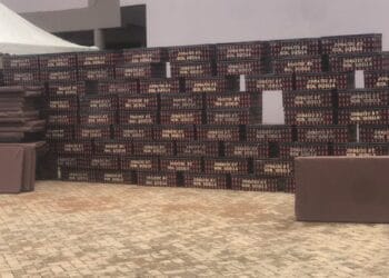 Awutu-Senya-West MP Mrs Gizella Tetteh Agbotui urges new SHS students to avoid drug use and focus on education