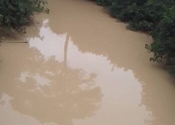 Cocoa farmers at Twifo Abodom urge government to stop illegal mining contaminating River Osene