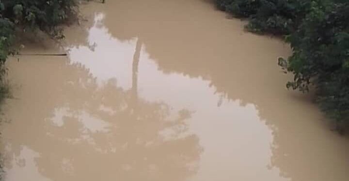 Cocoa farmers at Twifo Abodom urge government to stop illegal mining contaminating River Osene