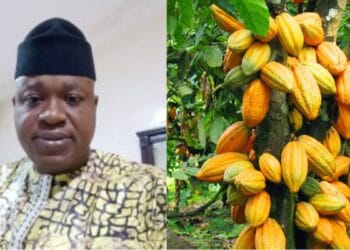 COFAAA President urges unified African action to end raw cocoa export dependency at African Cocoa Summit 2025