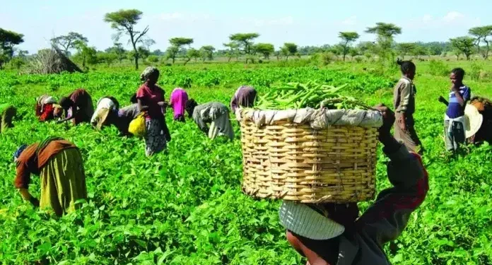 Volta Region to Host 41st National Farmers’ Day and Trade Fair in December