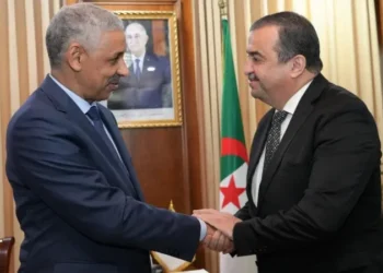 AfDB named Algeria’s principal external financing partner as country advances rail, energy and mineral industrialisation plans