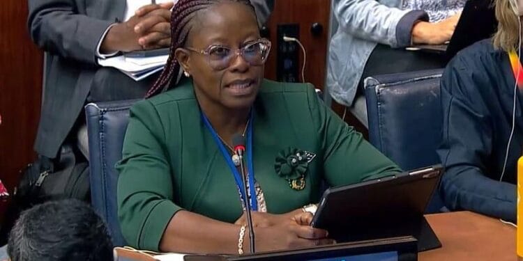 Dr Audrey Smock Amoah, Acting Director-General of the National Development Planning Commission (NDPC)