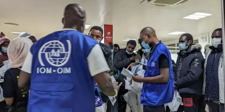 IOM supports nearly 1,000 Ghanaian returnees with tools, training, and reintegration aid in 2024