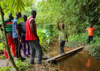 Kobeng residents appeal to government, Asantehene to halt alleged mining in Jimira Forest Reserve