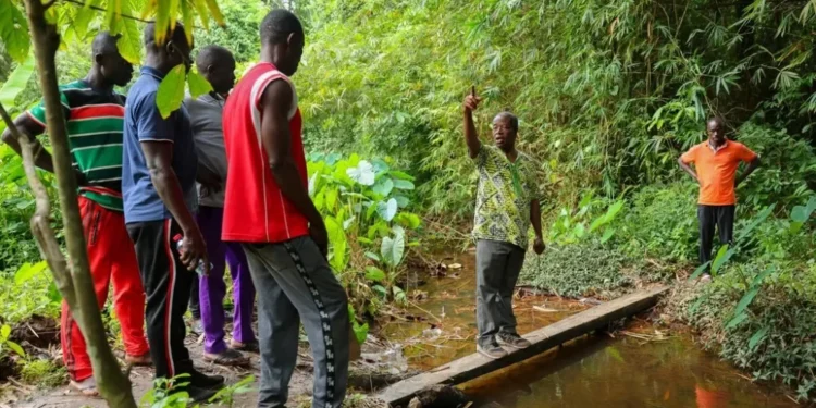 Kobeng residents appeal to government, Asantehene to halt alleged mining in Jimira Forest Reserve