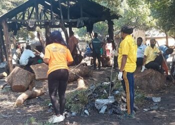 WACPAW leads Tamale abattoir clean-up to boost meat hygiene and animal welfare with Eyes on Animals, End Plastic Soup, and Ummy Relief Foundation
