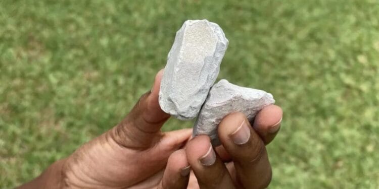 FDA, UNICEF nationwide study finds dangerous lead, cadmium and mercury contamination in food and cosmetic products across Ghana