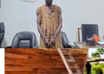 I don't have any Ark! Ebo Noah Confesses in Court