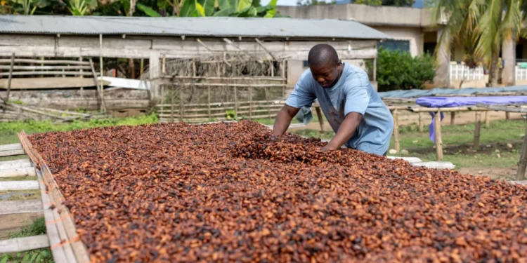 Minority leader vows to hold NDC accountable on cocoa farmer payments