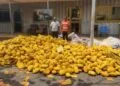 Tema police intercept truck with over 3,000 slabs of suspected narcotics; two arrested for bribery