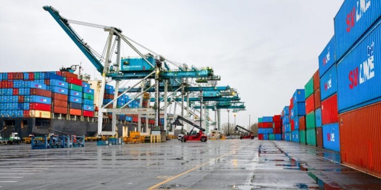 Trump’s tariff war: lessons in economics and the cost to citizens