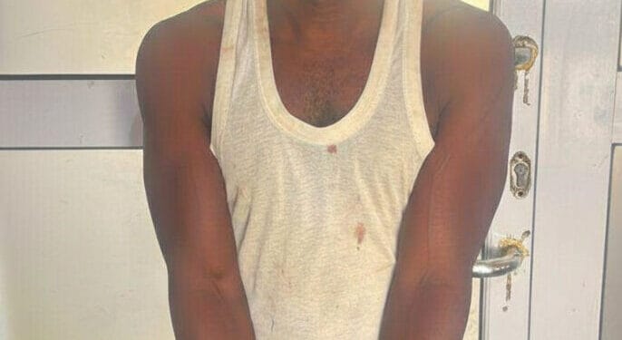 Police arrest suspect in connection with murder of officer at Zebilla