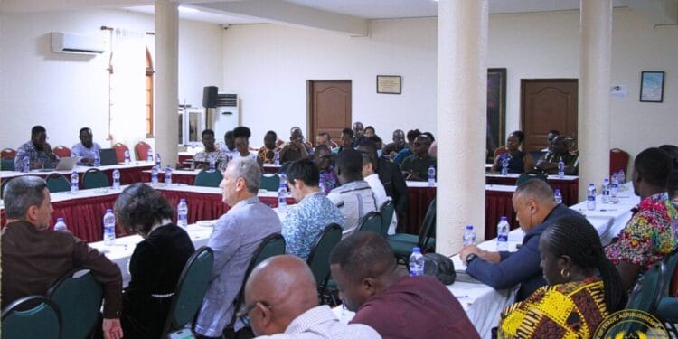 Ghana consults stakeholders on revised automotive policy phase II