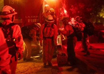 Fire Service saves vehicles and workshop in Ritz Junction blaze