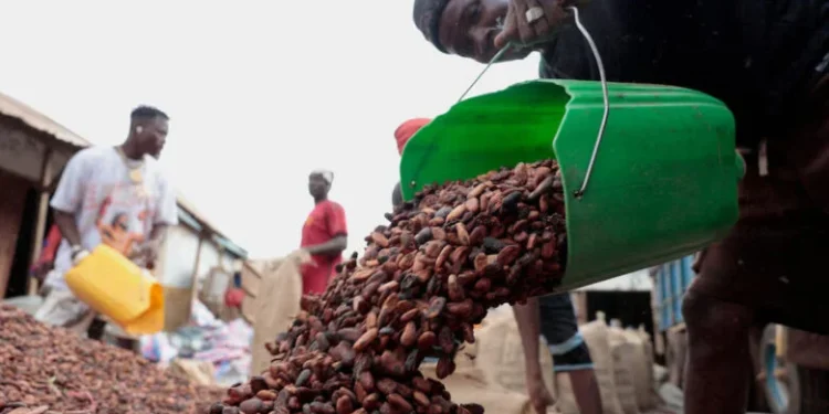 Cocoa Bill holders