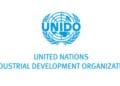 UNIDO opens application for Industrial Development Expert position